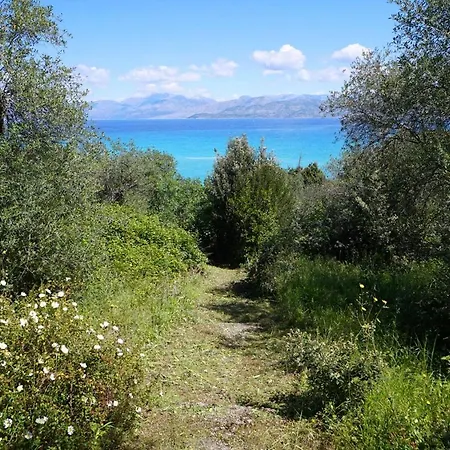 Villa Thalia Estate Agios Spyridon (Corfu)